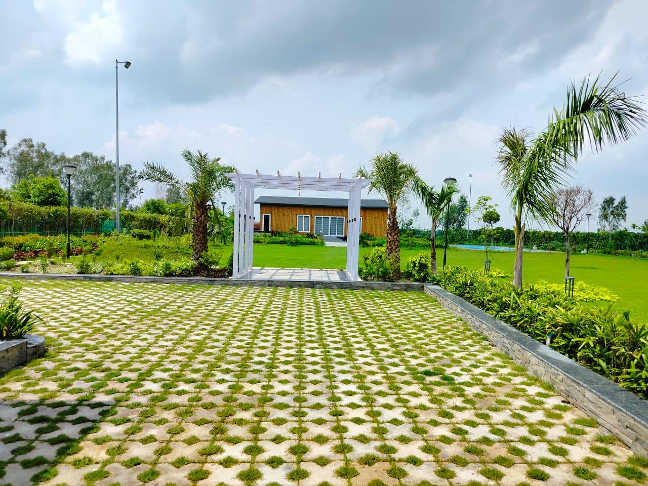 WhatsApp Image 2026-03-15 at 12.08.26 AM