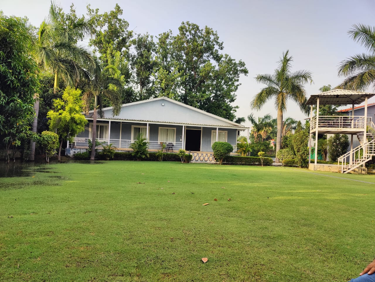 Farm House for Sale in Noida Sector 135